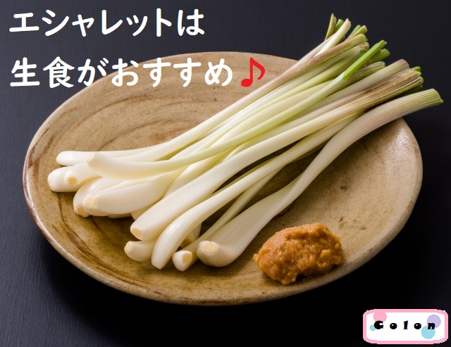 エシャレットの便秘解消効果とは？豊富な食物繊維を効率良く摂る食べ方